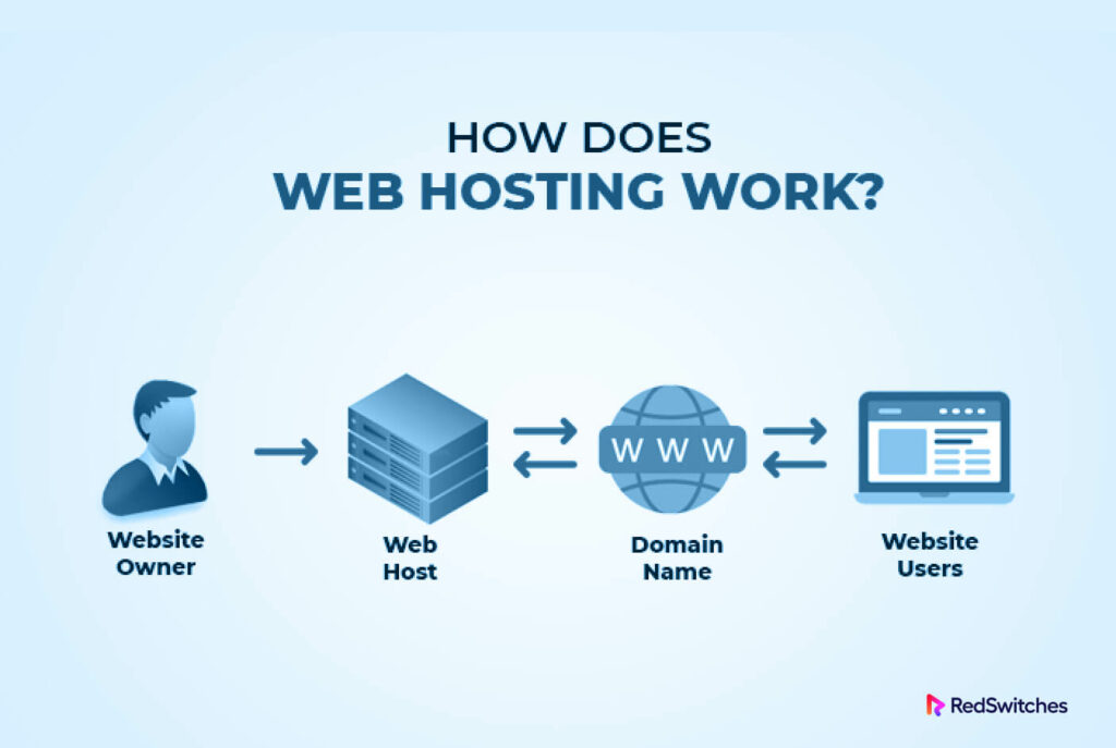 What is website hosting? What is its type and cost?