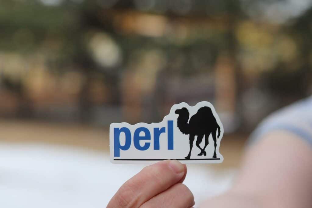 What Is Perl 1024x683 
